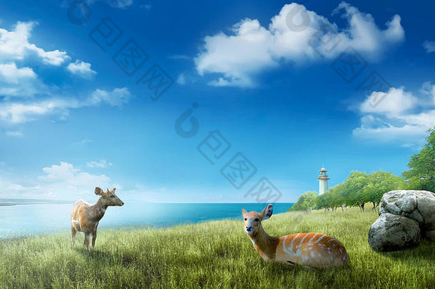鹿绿色场海洋视图背景