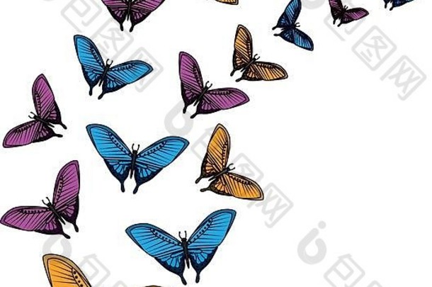 集团美丽的蝴蝶飞行
