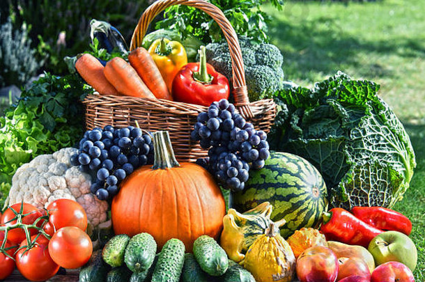 各种新鲜的有机蔬菜水果花园平衡饮食