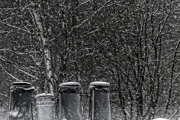 垃圾罐边缘雪森林冬天