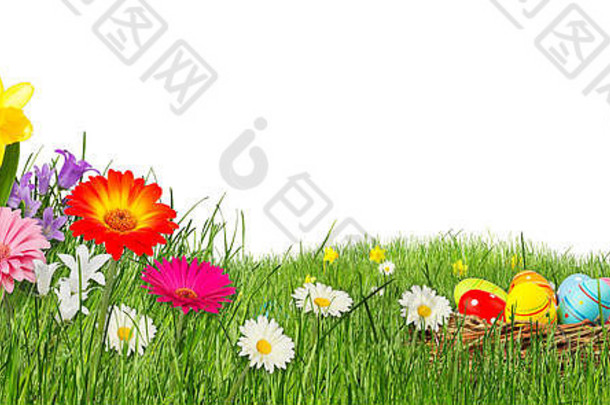 色彩斑斓的复活节草地孤立的白色背景