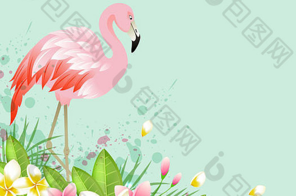热带背景花粉红色的火烈鸟摘要绿色自然背景