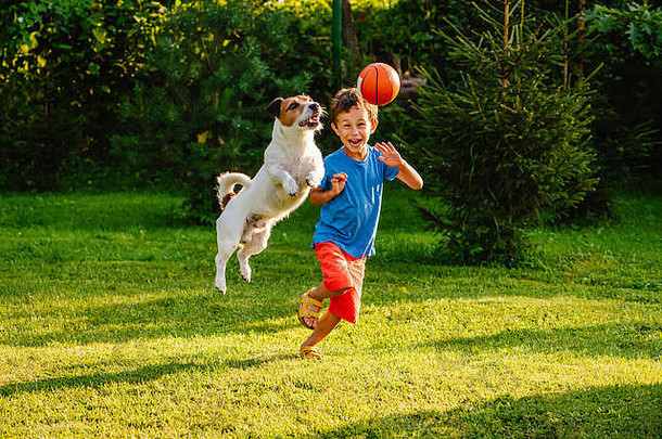 家庭有趣的户外狗篮球球