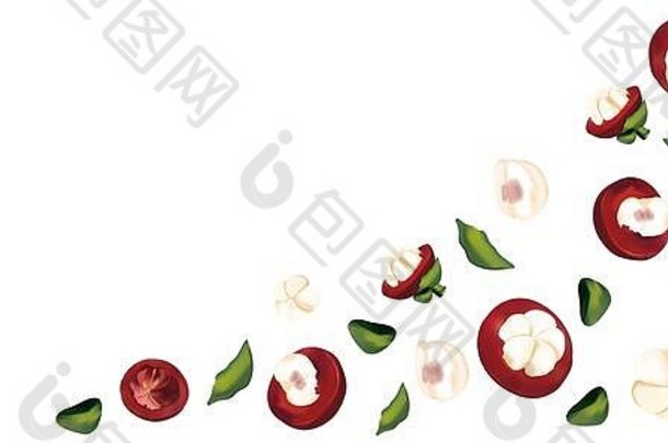 集新鲜的山竹果运动白色背景现实的山竹果半山竹果绿色叶前视图插图