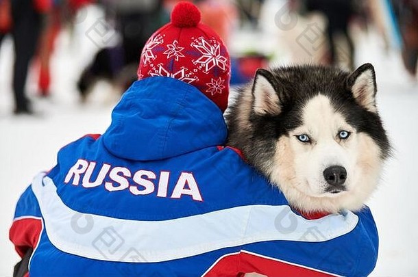 沙哑的雪橇狗拥抱老板登记俄罗斯夹克男人。狗友谊冬天背景西伯利亚沙哑的狗品种户外动物的鼻口