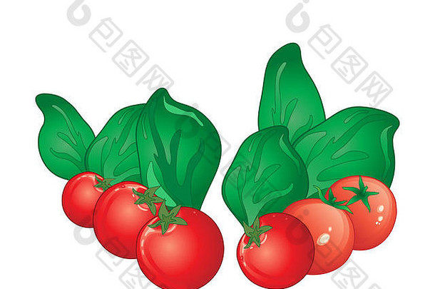 插图成熟的樱桃西红柿新鲜的绿色罗勒叶子白色背景
