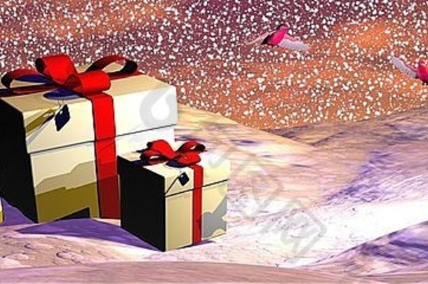 礼物盒子地面下降雪覆盖冷杉树美丽的日落光