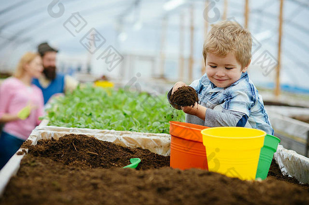 快乐孩子快乐孩子workign土壤花园快乐孩子温室快乐孩子家庭农场享受工作植物