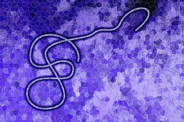 图形表示埃博拉<strong>病毒病毒</strong>紫色的背景