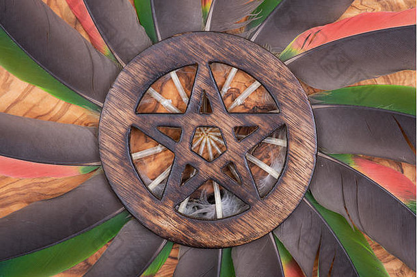 木包围五角星形象征中间圆使色彩斑斓的鹦鹉羽毛元素地球水空气火精神
