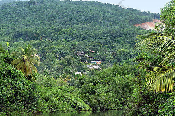 田园丛林风景<strong>小结</strong>算加勒比岛命名瓜德罗普岛