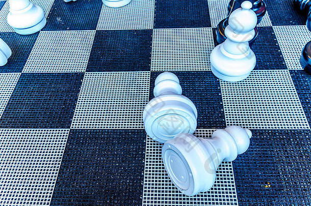 大国际象棋块铺设地板上市场大厅鹿特丹荷兰
