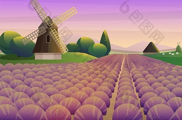 色彩斑斓的插图紫色的薰衣草场风车背景日落天空