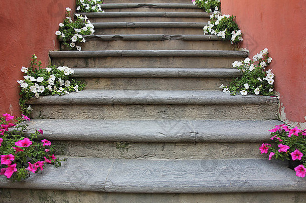 红色的白色花混凝土楼梯