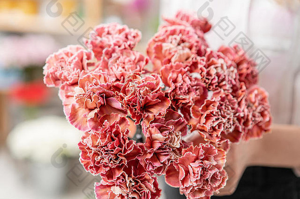 花束康乃馨花珊瑚红色的颜色春天群女人手现在母亲一天