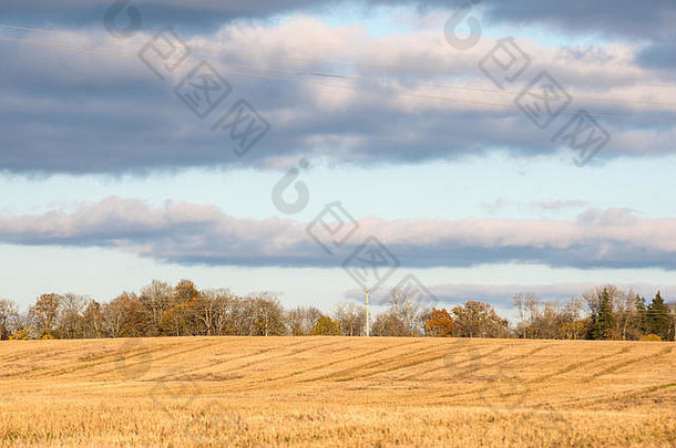 秋天彩色的农村景观拉脱维亚