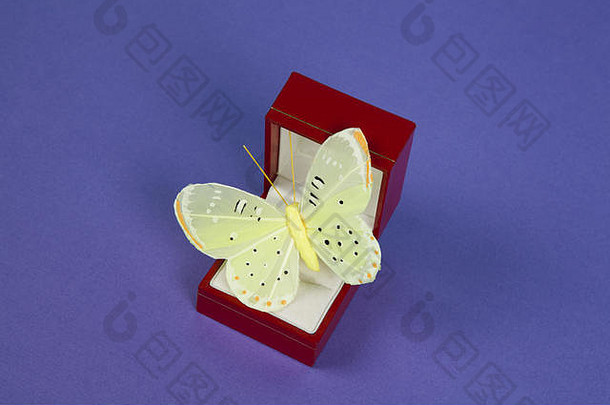 环盒子黄色的蝴蝶比喻大自然的珍贵脆弱紫色的背景最小的颜色生活摄影师
