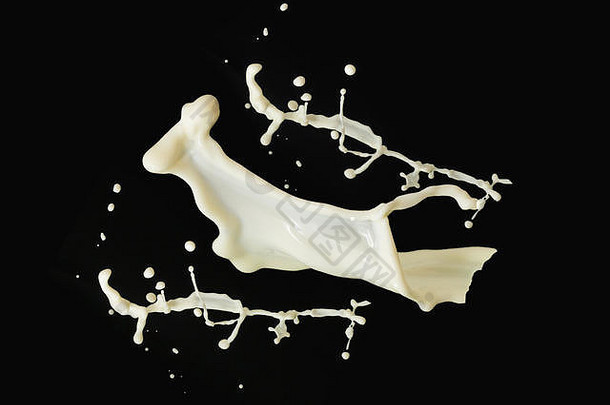 牛奶飞溅黑色的背景白色液体牛奶孤立的黑色的背景