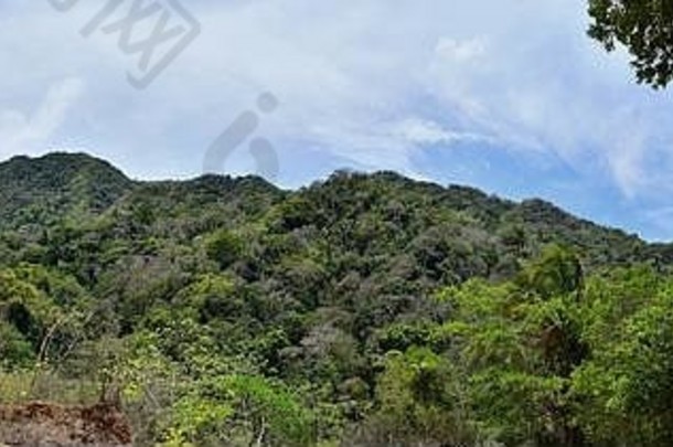 丛林景观的观点农村小村路那波多黎各墨西哥墨西哥捕食者电影阿诺德施瓦辛格