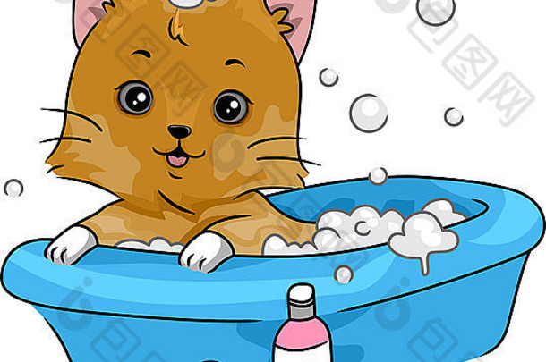 插图特色可爱的猫采取浴
