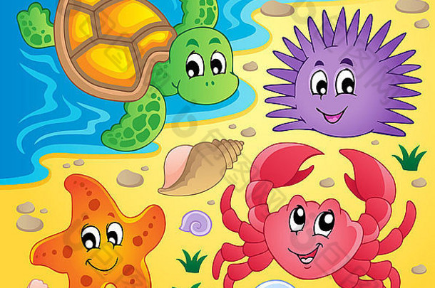 海滩贝壳海动物图片插图