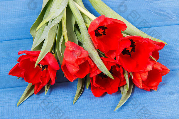 花束红色的郁金香生日庆祝活动说谎蓝色的董事会春天装饰