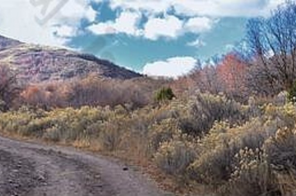 徒步旅行小径oquirrh瓦萨奇岩石山犹他州晚些时候秋天叶子徒步旅行骑自行车马背上的树黄色的叉