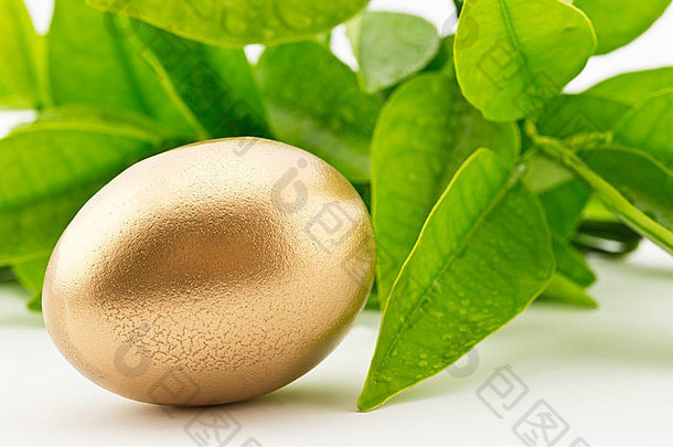 焦点黄金巢鸡蛋前面新鲜的春天绿色叶子