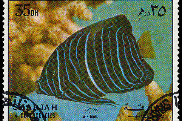 沙迦约邮票印刷沙迦显示波马坎图斯黄斑病鱼约