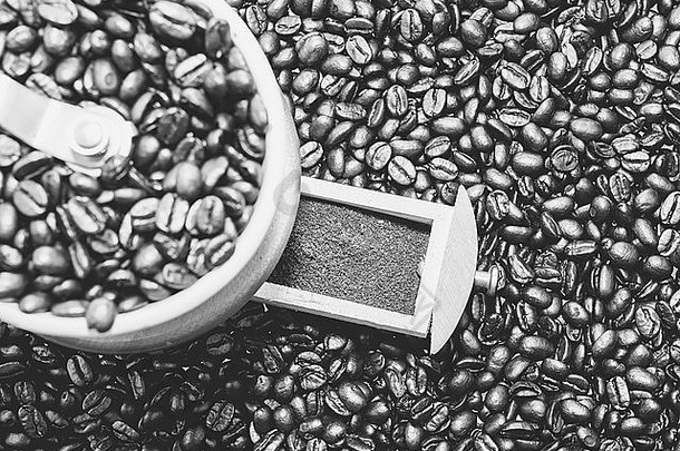 咖啡磨床前咖啡种子