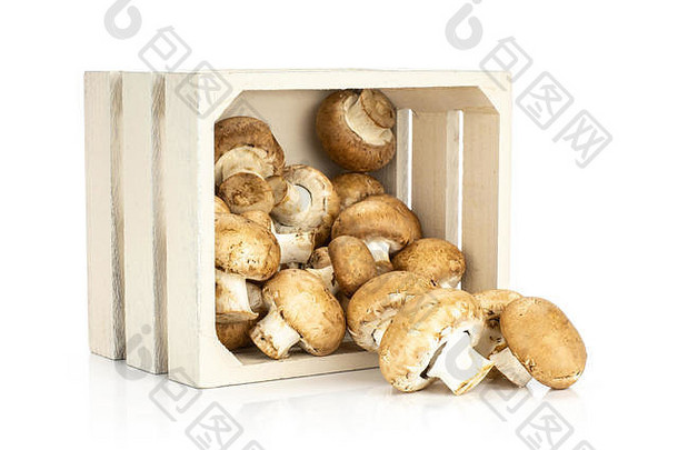 棕色（的）香榭丽舍木盒子孤立的白色背景新鲜的<strong>生</strong>蘑菇