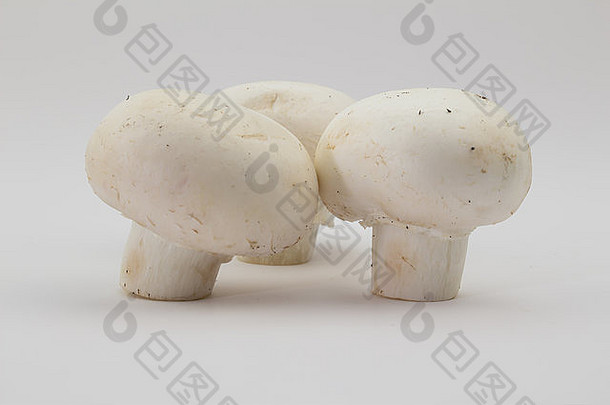 拍摄蘑菇位堆肥孤立的白色背景