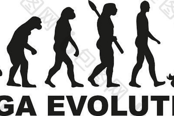 瑜伽进化