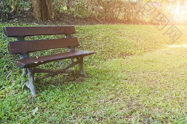 木板凳上休息放松绿色草公园