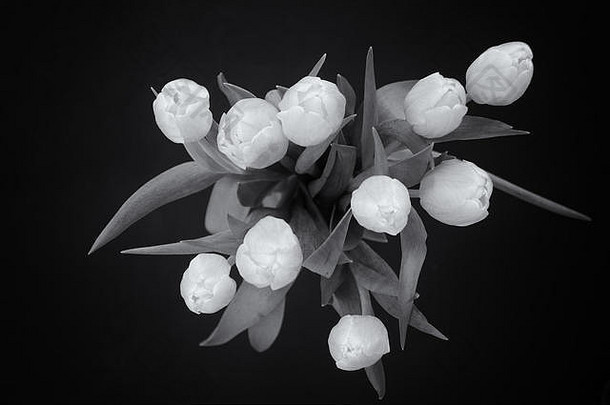郁金香花束黑色的白色
