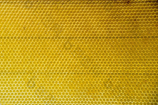 蜂蜜梳子金背景纹理自然细胞