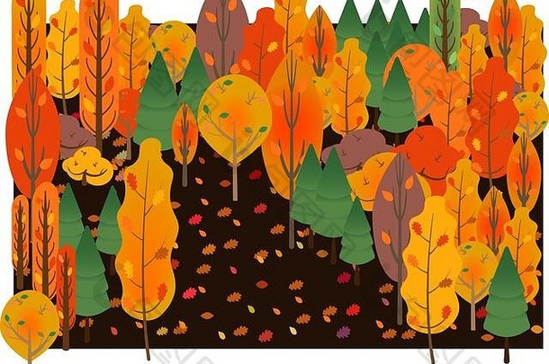 美丽的秋天森林下降叶子秋天时间