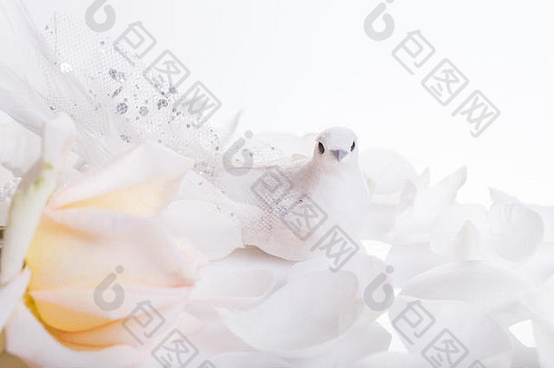 浪漫的婚礼背景白色在哪里白色玫瑰象征和平爱