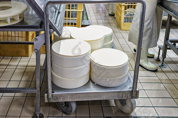格鲁耶尔干酪伯爵奶酪特殊的形式乳制品坦率伯爵勃艮第法国部分过程生产