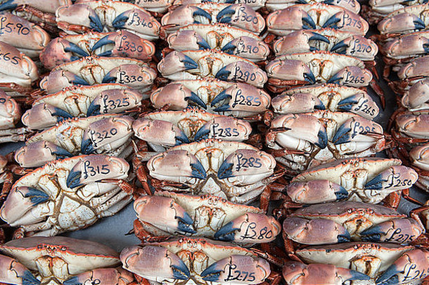 海螃蟹出售码头
