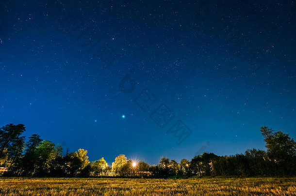 绿色树森林公园晚上布满星星的天空晚上景观自然真正的发光的星星森林草地夏天季节视图东