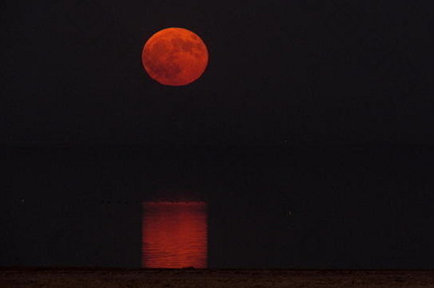 红色的收获月亮反映了索尔顿海海南部加州晚上时间