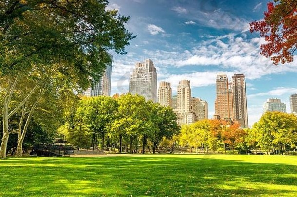 美丽的树叶颜色纽约中央公园
