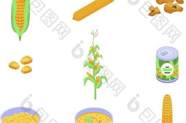 玉米图标集等角风格