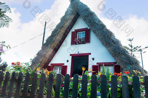 桑塔纳木头美丽的村北海岸小茅草三角房子龙树花环绕