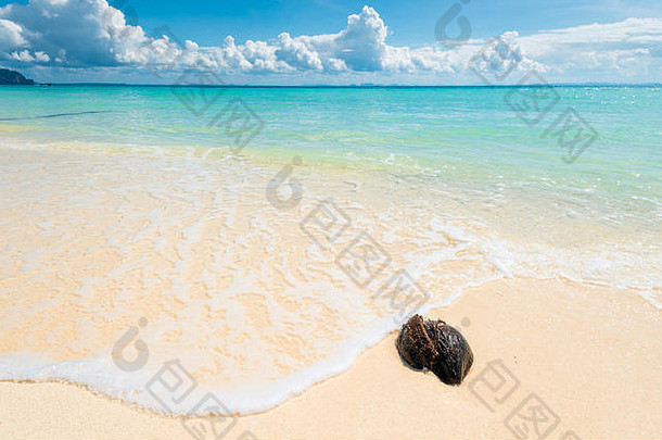 湿椰子废弃的海滩白色沙子背景美丽的海特写镜头