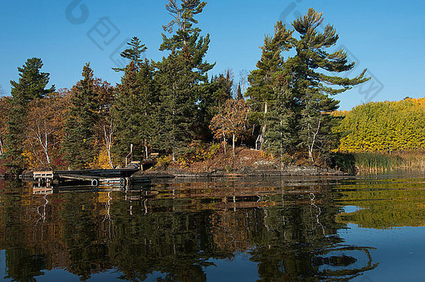 反射树水凯诺拉湖森林安大略加拿大