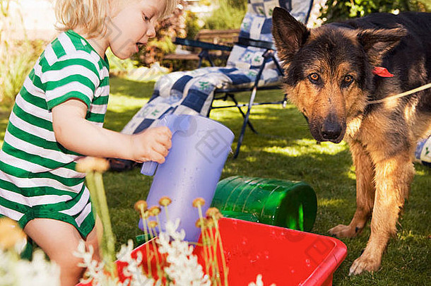 男孩狗玩花园瑞典