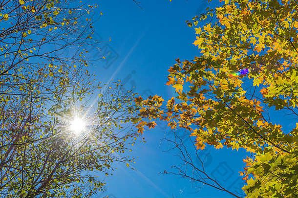 清晰的阳光明媚的一天蓝色的天空秋天颜色