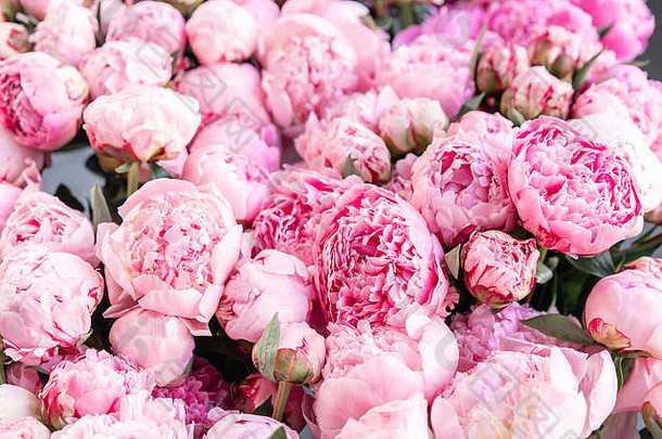 花地毯壁纸背景粉红色的牡丹早....光房间美丽的牡丹花目录在线商店花商店